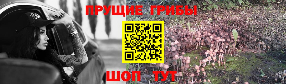 Лабытнанги  Псилоцибиновые грибы Psilocybine cubensis  Вход с VPN 