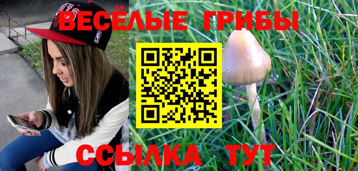 Галлюциногенные грибы прущие грибы Лабытнанги